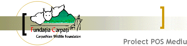 Proiect POS Mediu