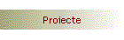 Proiecte