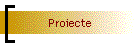 Proiecte